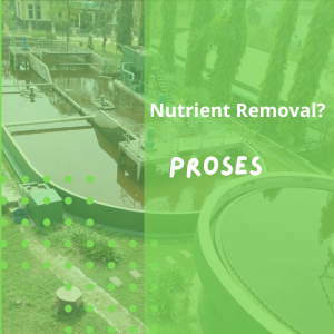 Proses Nutrient Removal pada WWTP