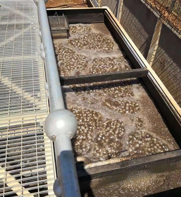 MBBR Waktu Retensi Hidrolik (HRT) pada Sistem MBBR